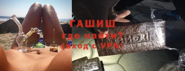 стаф Алзамай