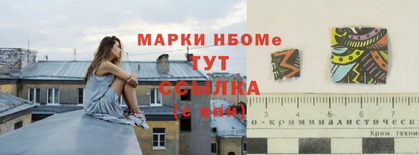 стафф Алексин