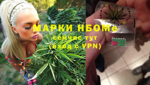 стафф Алексин