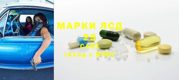 стаф Алзамай