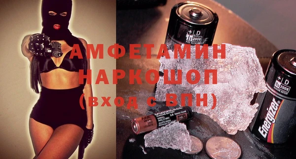 стаф Алзамай