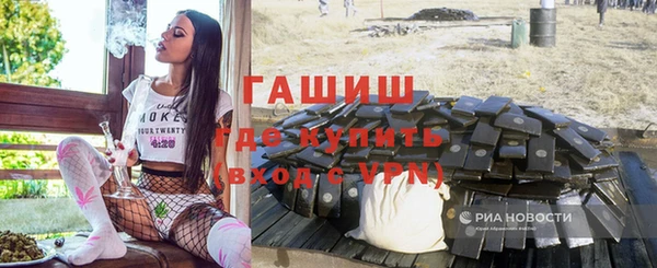 стаф Алзамай