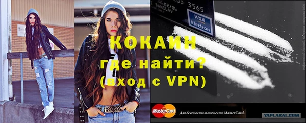 стафф Алексин
