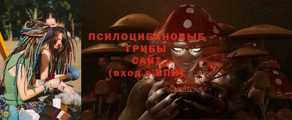 стафф Алексин
