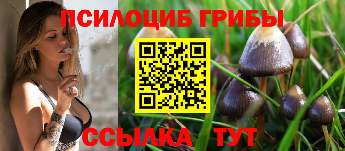 Псилоцибиновые грибы GOLDEN TEACHER  Вход с VPN  наркота  Псилоцибиновые грибы мухоморы  Канаш 