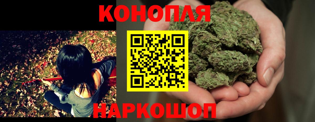 Шишки марихуана ГИДРОПОН Канаш